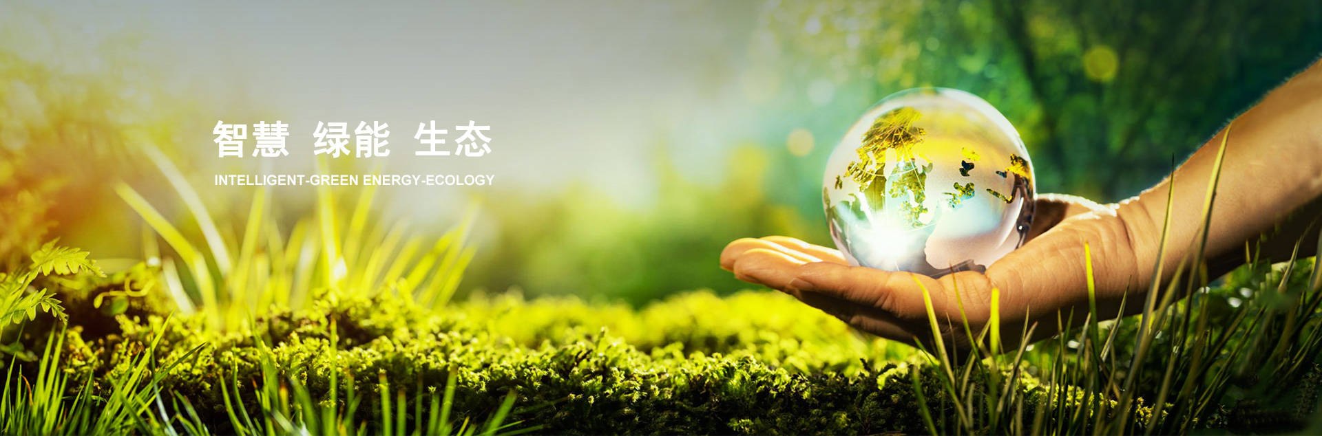 久久狼人大香伊蕉国产